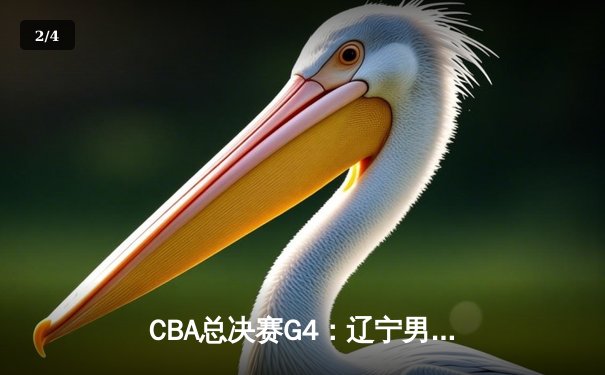 CBA总决赛G4：辽宁男篮客场力克新疆，总比分3-1夺赛点 - 2